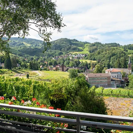 Renatas Stanel Appartement Sasbachwalden