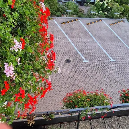 Renatas Stanel Sasbachwalden