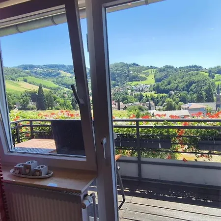 Renatas Stanel Apartment Sasbachwalden